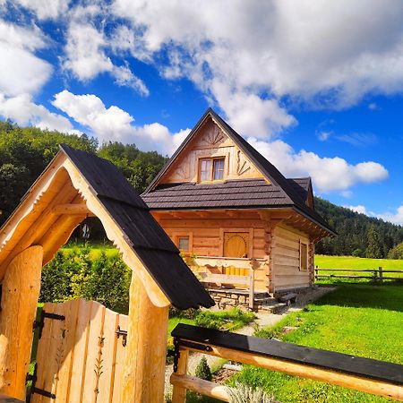 Domek Trzy Doliny Zakopane, Three Valleys Chalet With Jacuzzi Kültér fotó