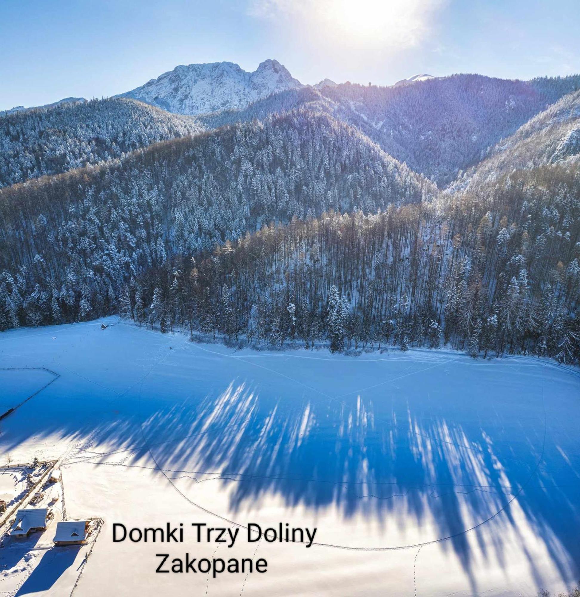 Domek Trzy Doliny Zakopane, Three Valleys Chalet With Jacuzzi Kültér fotó